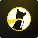 Promo Logo